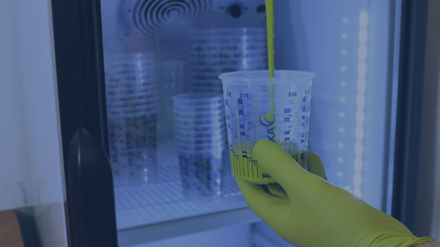 How to use our winterproof paint mixing cups in cold conditions