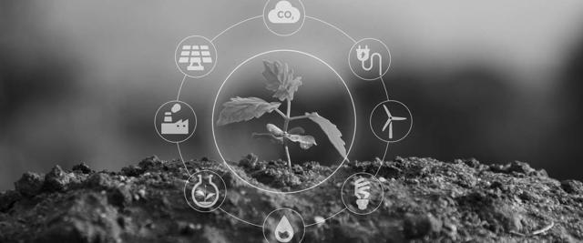 EMM International BV is proud to receive ISO 14001 certification